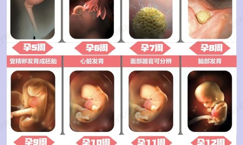 心脏病能吃感冒药吗-心脏病人感冒吃板蓝根网—知名的心脏病可以吃感冒灵颗粒吗网站,分享心脏病人感冒吃板蓝根管用吗知识